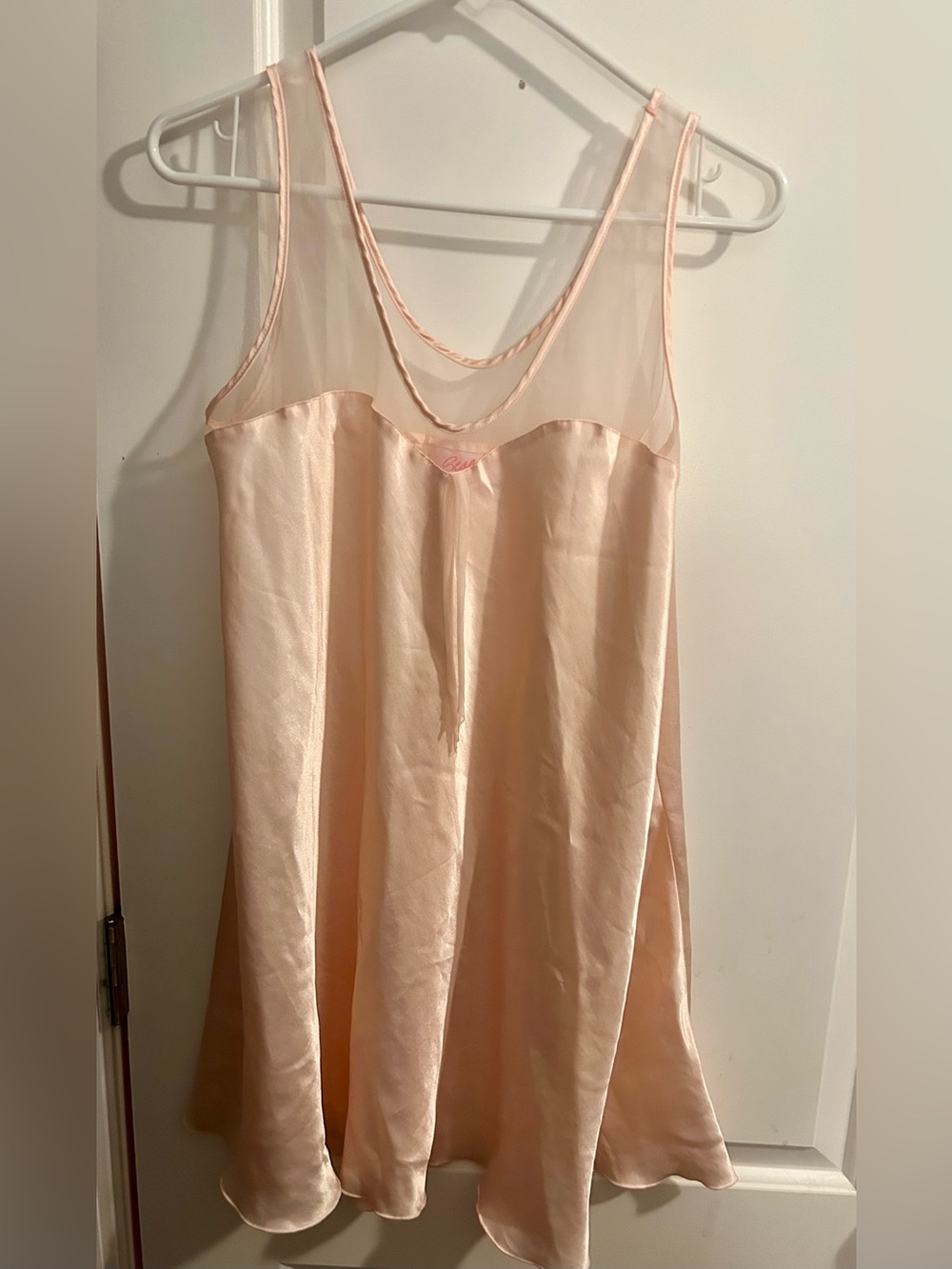 Pink Champagne Night Gown / Night Slip